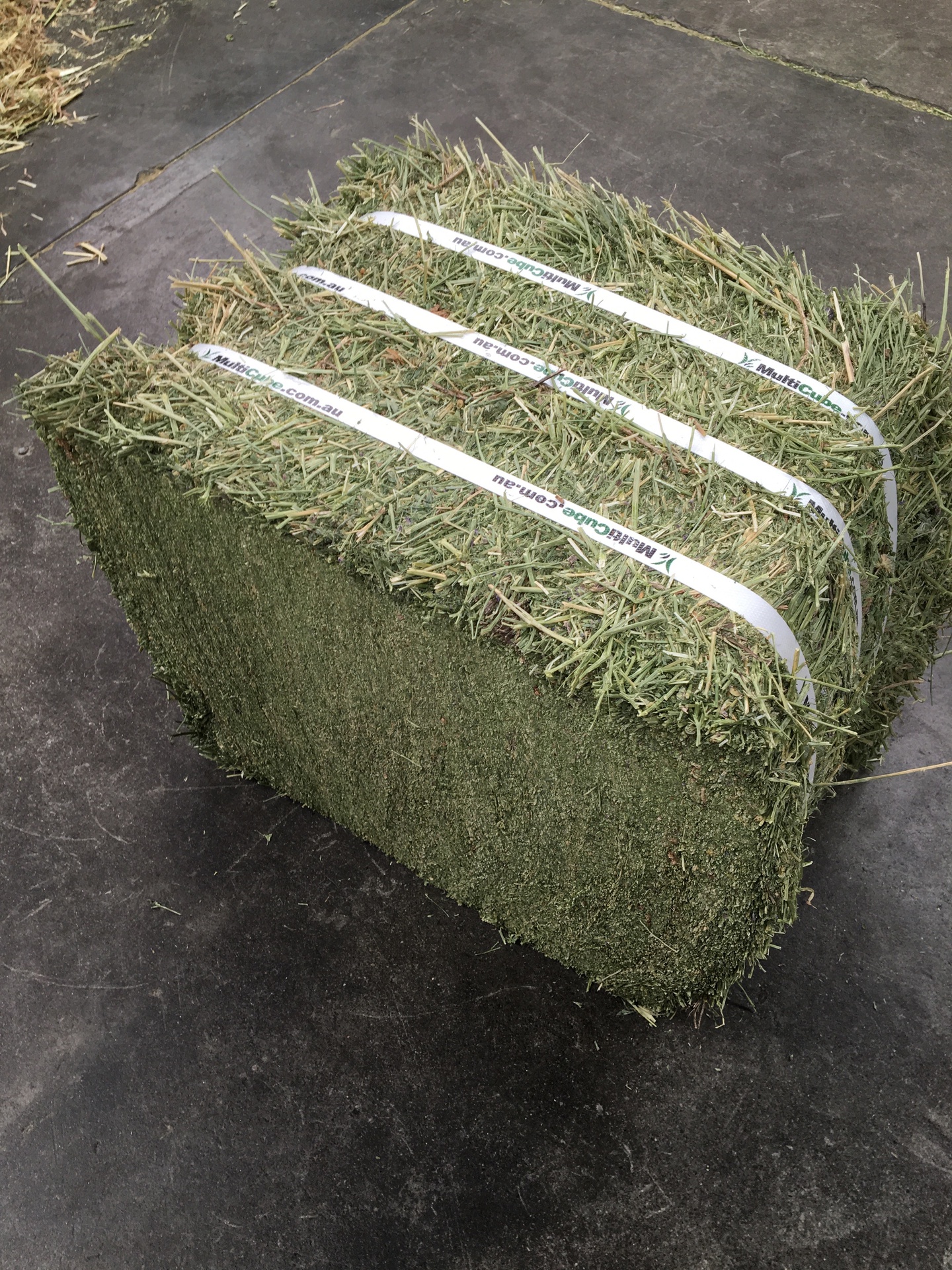 Compressed Lucerne Hay Bales Coastal Rural Traders